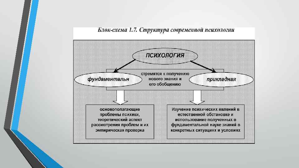 Процессуальный образец психология