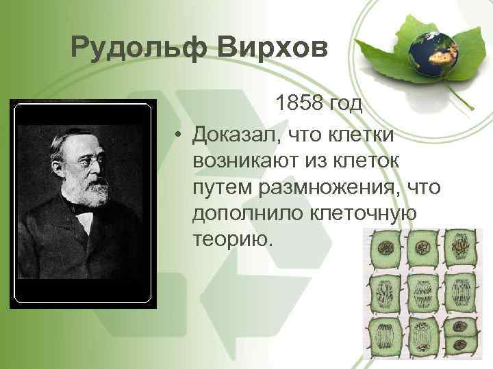 Рудольф Вирхов 1858 год • Доказал, что клетки возникают из клеток путем размножения, что