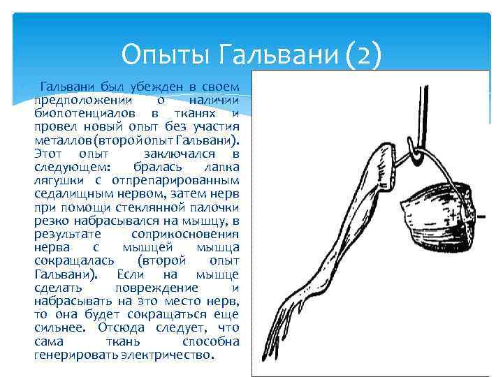 Схема первый опыт гальвани