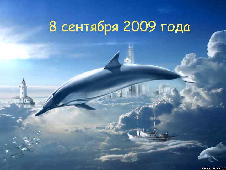 8 сентября 2009 года 