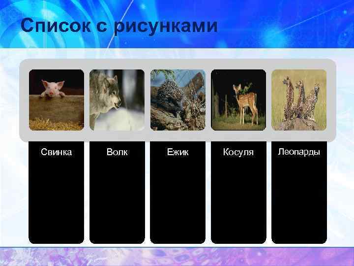 Список с рисунками Свинка Волк Ежик Косуля Леопарды 