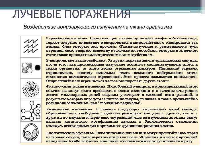 ЛУЧЕВЫЕ ПОРАЖЕНИЯ Заряженные частицы. Проникающие в ткани организма альфа- и бета-частицы теряют энергию вследствие