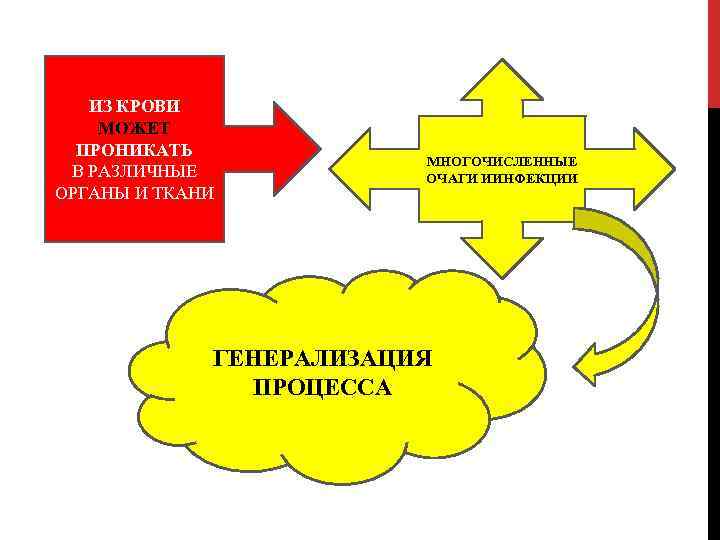 ИЗ КРОВИ МОЖЕТ ПРОНИКАТЬ В РАЗЛИЧНЫЕ ОРГАНЫ И ТКАНИ МНОГОЧИСЛЕННЫЕ ОЧАГИ ИИНФЕКЦИИ ГЕНЕРАЛИЗАЦИЯ ПРОЦЕССА