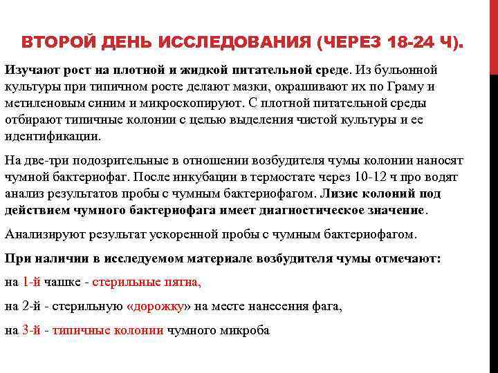 ВТОРОЙ ДЕНЬ ИССЛЕДОВАНИЯ (ЧЕРЕЗ 18 -24 Ч). Изучают рост на плотной и жидкой питательной