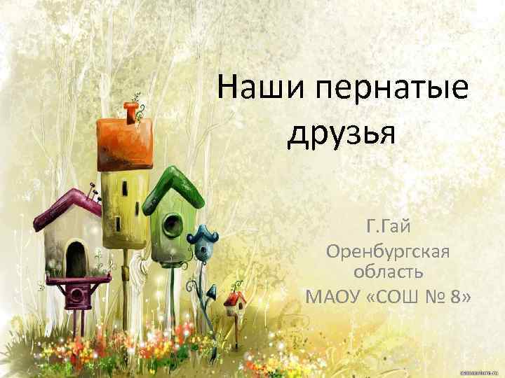 Наши пернатые друзья Г. Гай Оренбургская область МАОУ «СОШ № 8» 