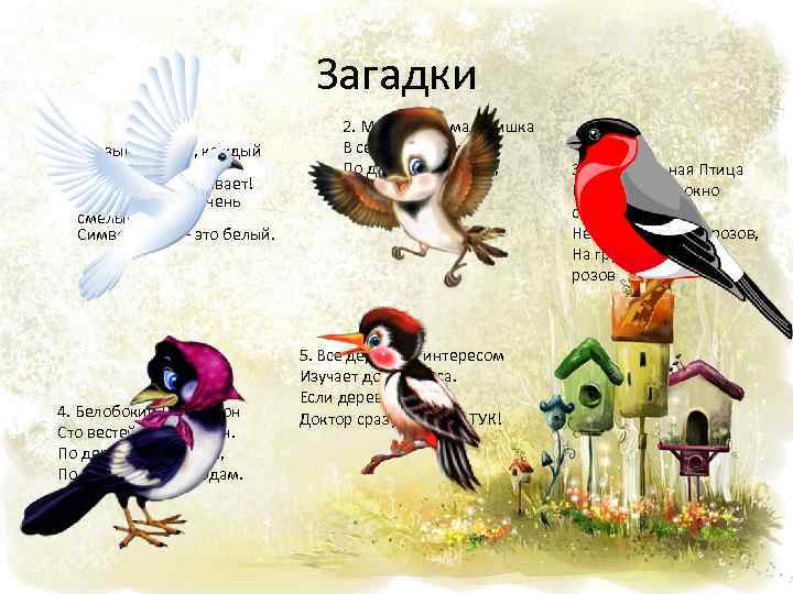 Загадки 1. Сизый - дикий, каждый знает. И почтовым он бывает! Очень нежный, очень