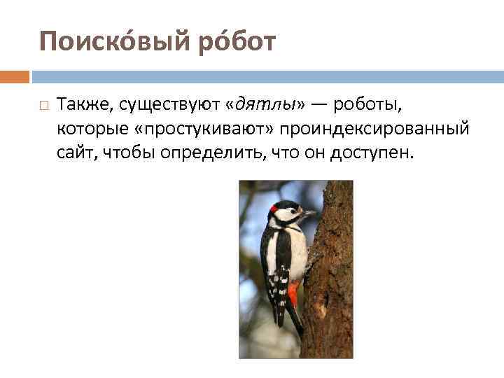 Поиско вый ро бот Также, существуют «дятлы» — роботы, которые «простукивают» проиндексированный сайт, чтобы