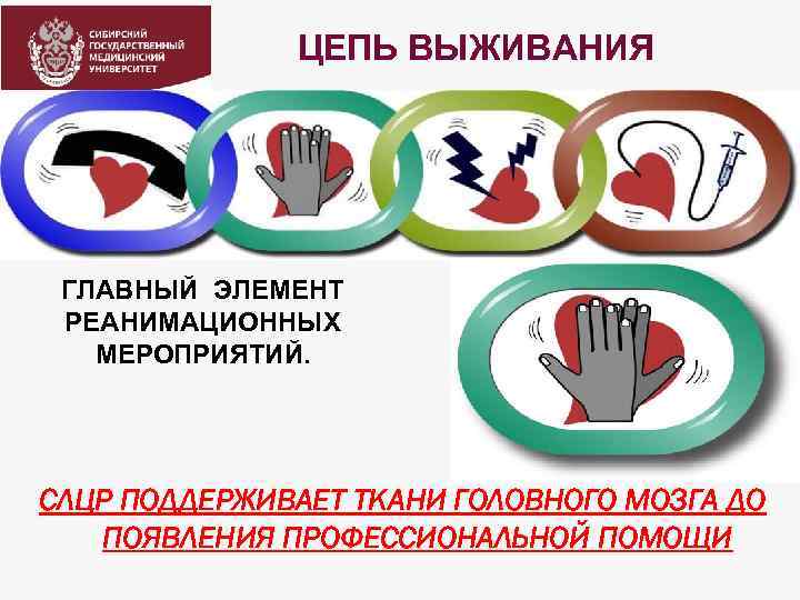ЦЕПЬ ВЫЖИВАНИЯ ГЛАВНЫЙ ЭЛЕМЕНТ РЕАНИМАЦИОННЫХ МЕРОПРИЯТИЙ. СЛЦР ПОДДЕРЖИВАЕТ ТКАНИ ГОЛОВНОГО МОЗГА ДО ПОЯВЛЕНИЯ ПРОФЕССИОНАЛЬНОЙ