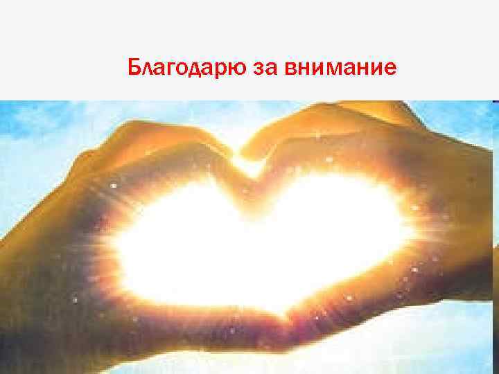 Благодарю за внимание 