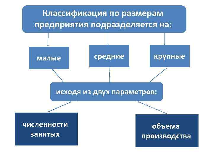 Предприятие звено рыночной экономики