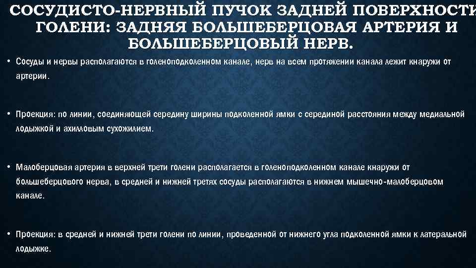 СОСУДИСТО-НЕРВНЫЙ ПУЧОК ЗАДНЕЙ ПОВЕРХНОСТИ ГОЛЕНИ: ЗАДНЯЯ БОЛЬШЕБЕРЦОВАЯ АРТЕРИЯ И БОЛЬШЕБЕРЦОВЫЙ НЕРВ. • Сосуды и