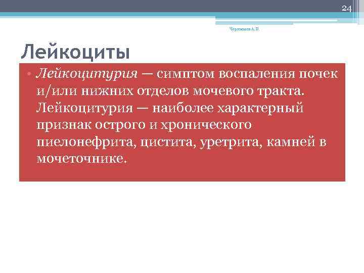 24 Чернышев А. В. Лейкоциты • Лейкоцитурия — симптом воспаления почек и/или нижних отделов