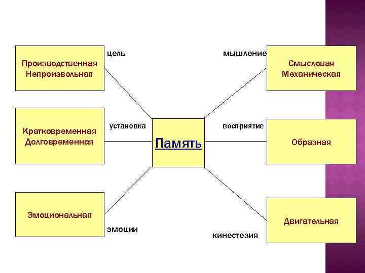 Производственная Непроизвольная Кратковременная Долговременная цель мышление установка восприятие Память Образная Эмоциональная эмоции Смысловая Механическая