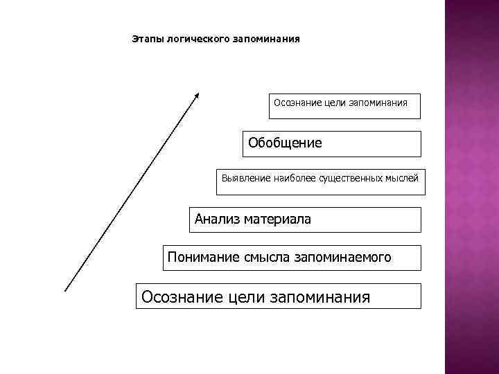 Периоды запоминания. Этапы логического запоминания схема. Этапы логического запоминания в психологии схема. Этапы произвольного логического запоминания. Этапы запоминания материала.