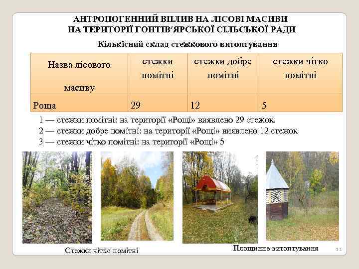 АНТРОПОГЕННИЙ ВПЛИВ НА ЛІСОВІ МАСИВИ НА ТЕРИТОРІЇ ГОНТІВ’ЯРСЬКОЇ СІЛЬСЬКОЇ РАДИ Кількісний склад стежкового витоптування