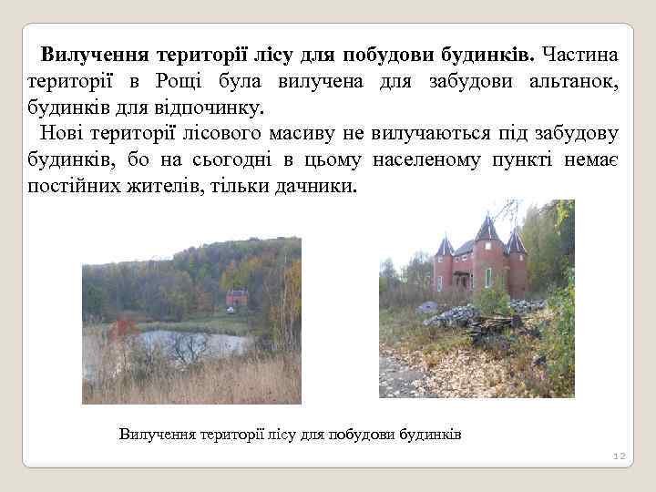 Вилучення території лісу для побудови будинків. Частина території в Рощі була вилучена для забудови