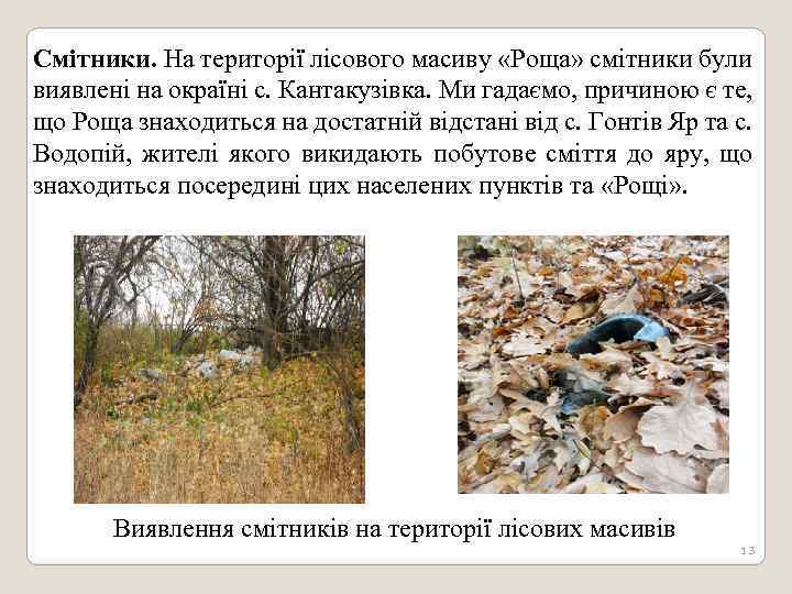 Смітники. На території лісового масиву «Роща» смітники були виявлені на окраїні с. Кантакузівка. Ми