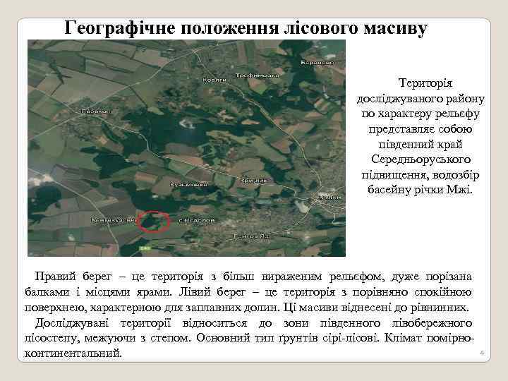 Географічне положення лісового масиву Територія досліджуваного району по характеру рельєфу представляє собою південний край