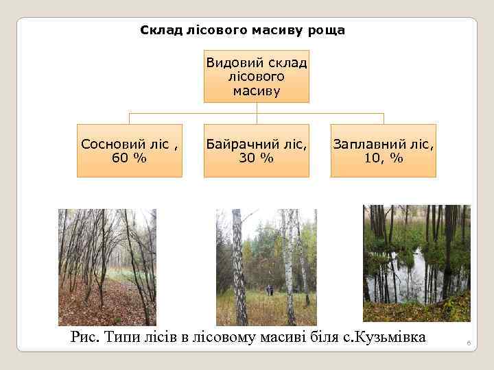 Склад лісового масиву роща Видовий склад лісового масиву Сосновий ліс , 60 % Байрачний