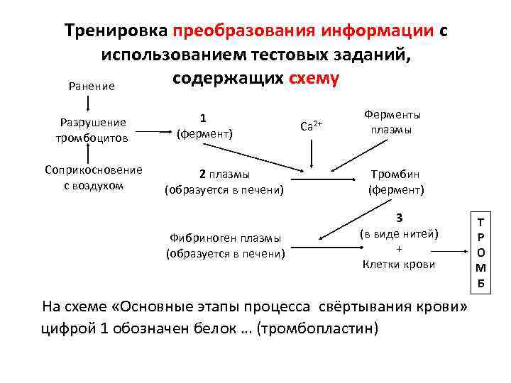 Тренировка преобразования информации с использованием тестовых заданий, содержащих схему Ранение Разрушение Ферменты 1 Са