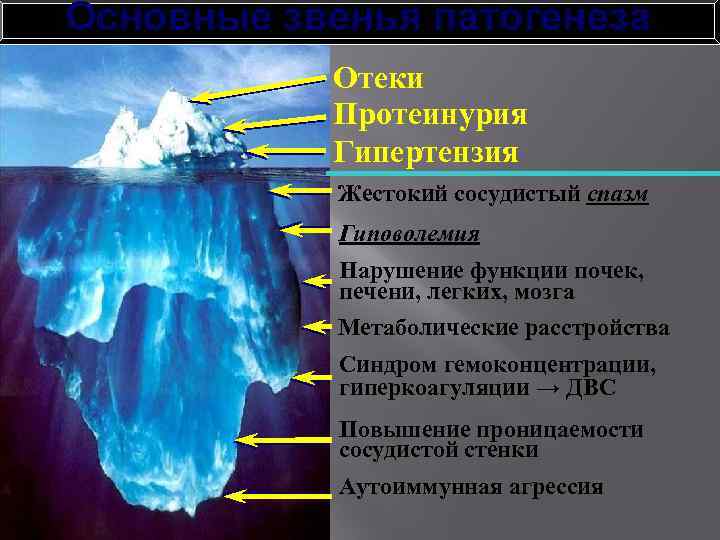 Основные звенья патогенеза Отеки Протеинурия Гипертензия Жестокий сосудистый спазм Гиповолемия Нарушение функции почек, печени,