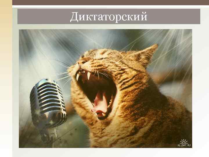 Диктаторский 