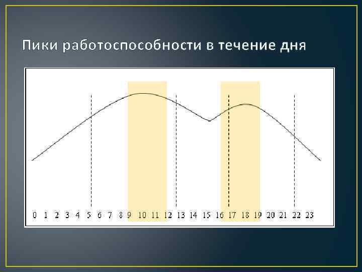 Пики работоспособности в течение дня 