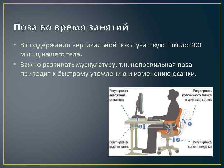 Поза во время занятий • В поддержании вертикальной позы участвуют около 200 мышц нашего