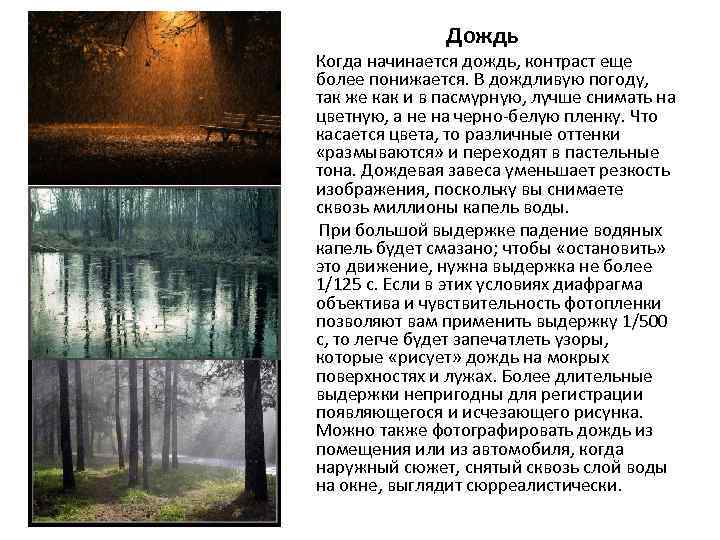 Дождь Когда начинается дождь, контраст еще более понижается. В дождливую погоду, так же как