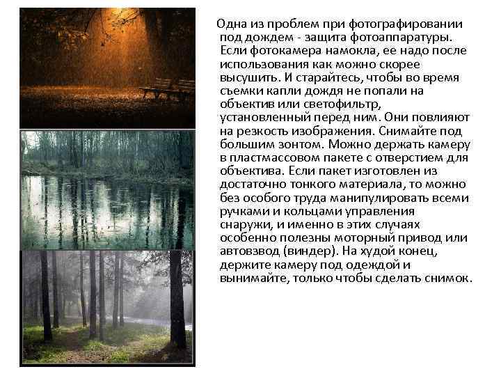 Одна из проблем при фотографировании под дождем - защита фотоаппаратуры. Если фотокамера намокла, ее