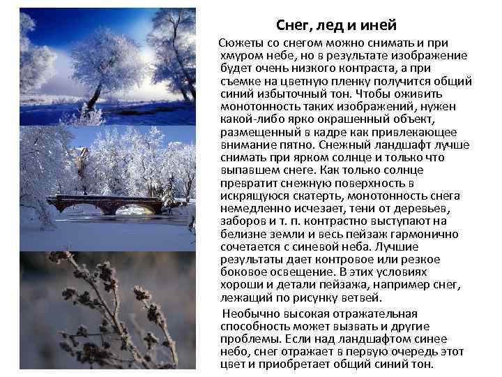 Снег, лед и иней Сюжеты со снегом можно снимать и при хмуром небе, но