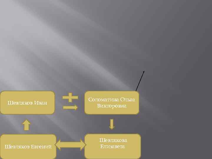 Шевляков Иван Шевляков Евгений Соломатина Ольга Викторовна Шевлякова Елизавета 
