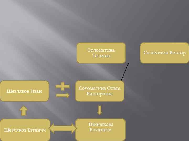 Соломатина Татьяна Шевляков Иван Шевляков Евгений Соломатина Ольга Викторовна Шевлякова Елизавета Соломатин Виктор 