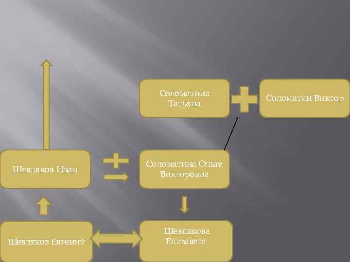 Соломатина Татьяна Шевляков Иван Шевляков Евгений Соломатина Ольга Викторовна Шевлякова Елизавета Соломатин Виктор 