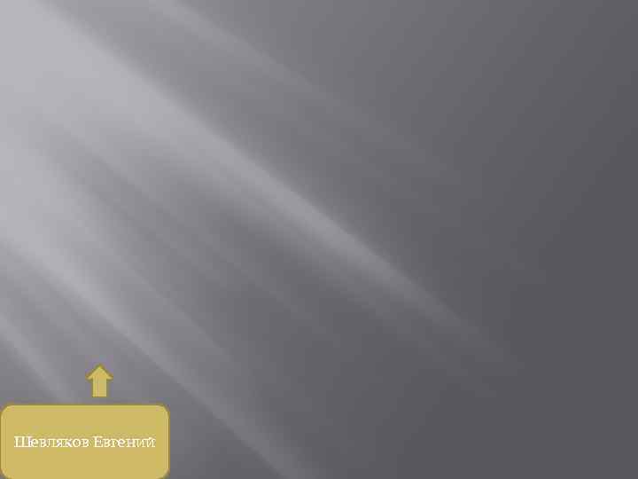 Шевляков Евгений 