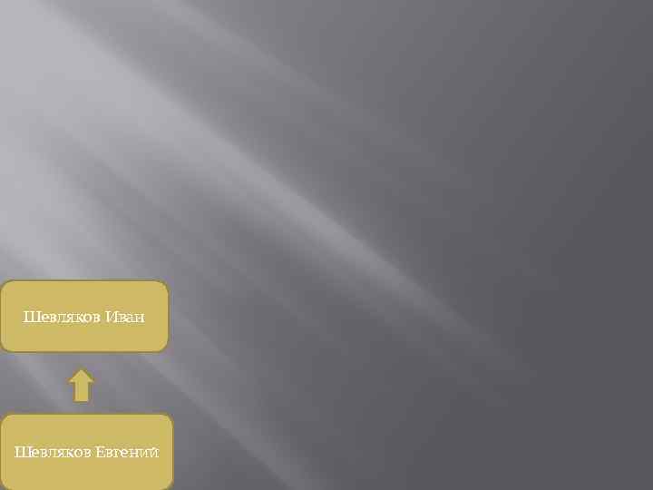 Шевляков Иван Шевляков Евгений 