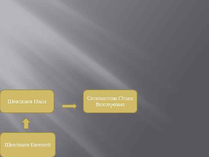 Шевляков Иван Шевляков Евгений Соломатина Ольга Викторовна 