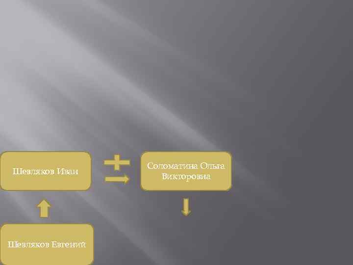 Шевляков Иван Шевляков Евгений Соломатина Ольга Викторовна 