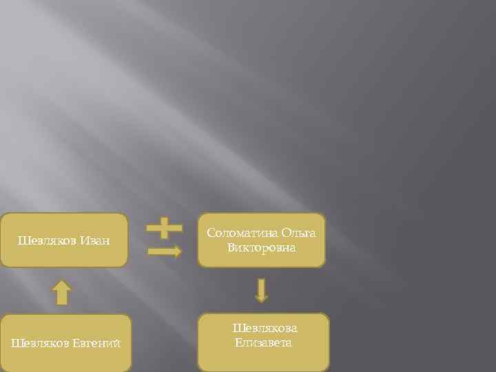 Шевляков Иван Шевляков Евгений Соломатина Ольга Викторовна Шевлякова Елизавета 