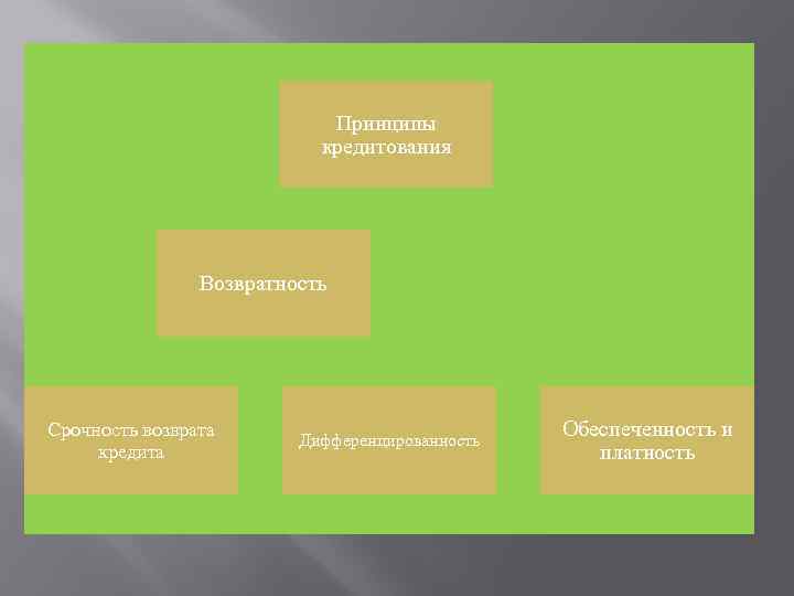 Принципы кредитования Возвратность Срочность возврата кредита Дифференцированность Обеспеченность и платность 