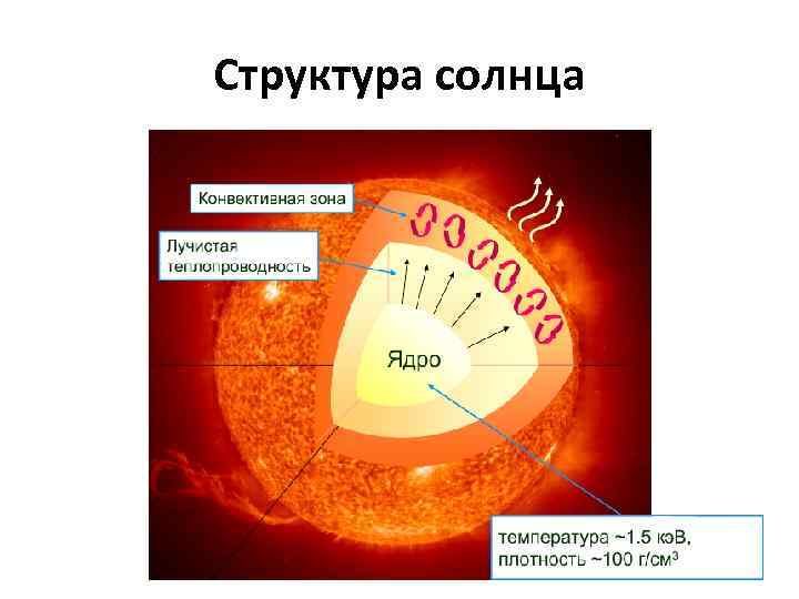 Область солнца. Ядро Лучистая зона конвективная зона. Строение солнца зона лучистого переноса. Конвективная зона солнца схема. Внутреннее строение солнца Лучистая зона.