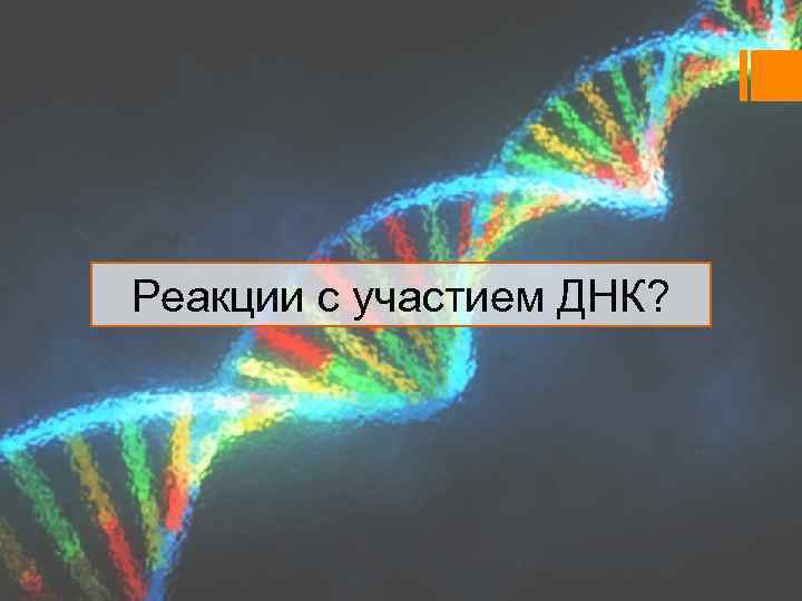 Реакции с участием ДНК? 