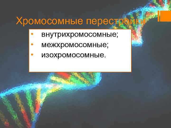 Хромосомные перестройки • внутрихромосомные; • межхромосомные; • изохромосомные. 