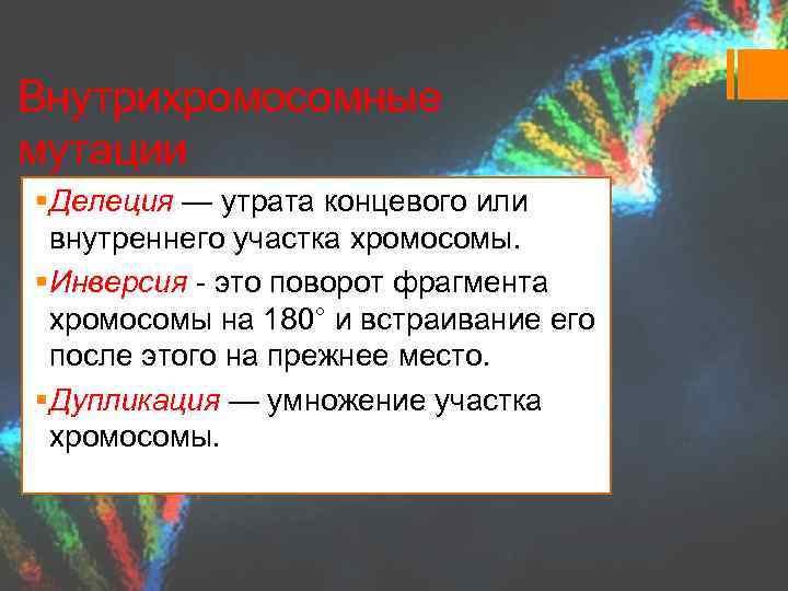 Внутрихромосомные мутации § Делеция — утрата концевого или внутреннего участка хромосомы. § Инверсия -