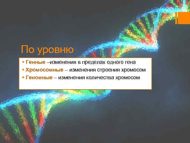 По уровню § Генные –изменения в пределах одного гена § Хромосомные – изменения строения