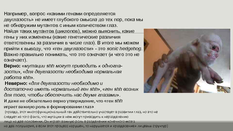 Например, вопрос «какими генами определяется двуглазость» не имеет глубокого смысла до тех пор, пока