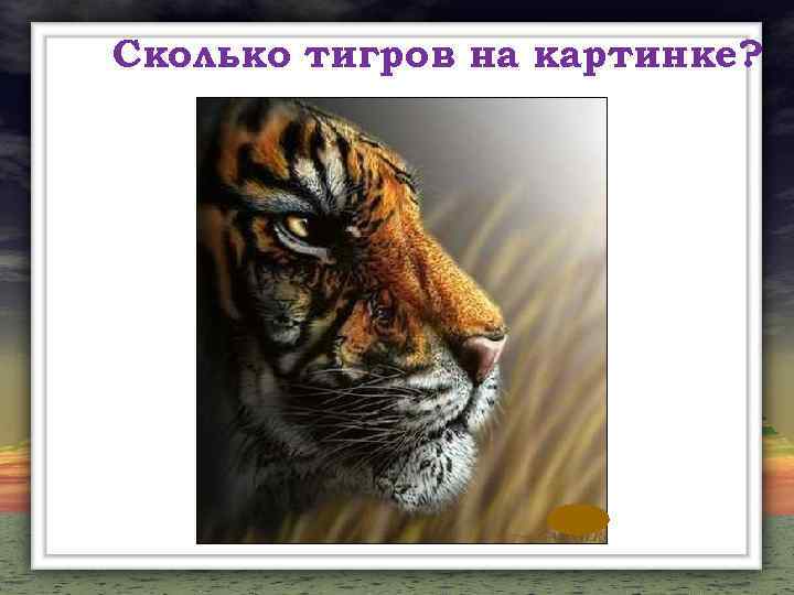 Сколько тигров на картинке? 