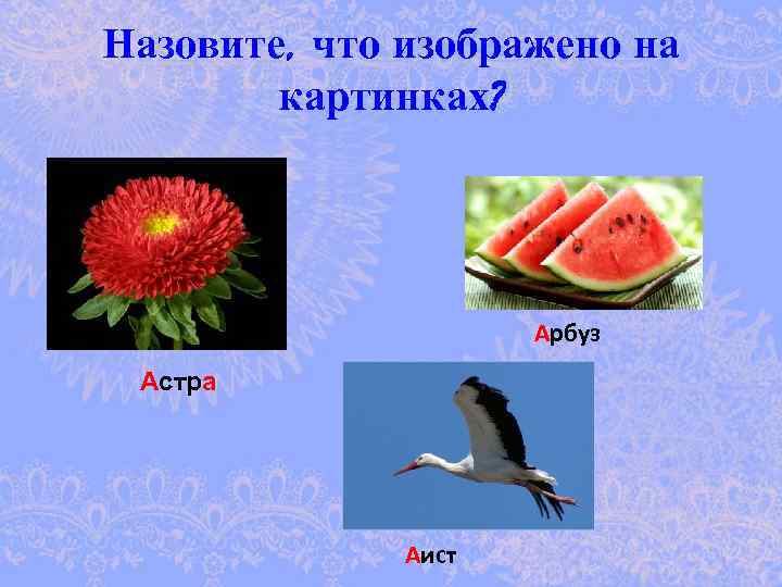 Назовите, что изображено на картинках? Арбуз Астра Аист 