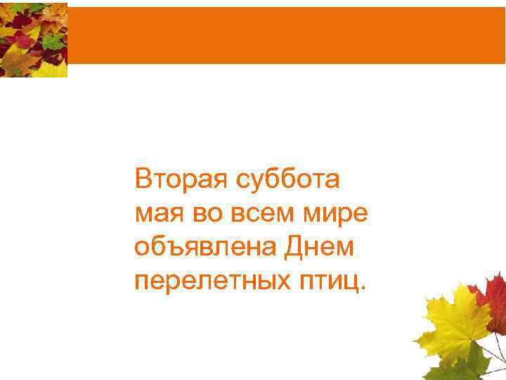 Вторая суббота мая во всем мире объявлена Днем перелетных птиц. 