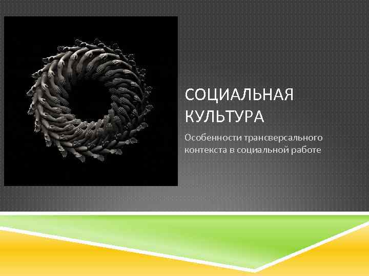 СОЦИАЛЬНАЯ КУЛЬТУРА Особенности трансверсального контекста в социальной работе 